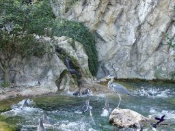 Tiergarten Schönbrunn am 03.10.2025